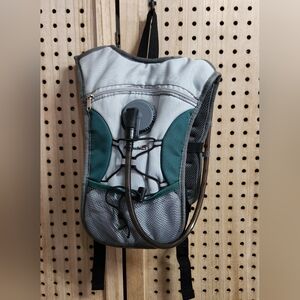 Avalanche Gray and Green Hydration Pack